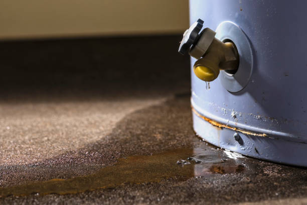 Best Professional water damage repair  in Tehachapi, CA