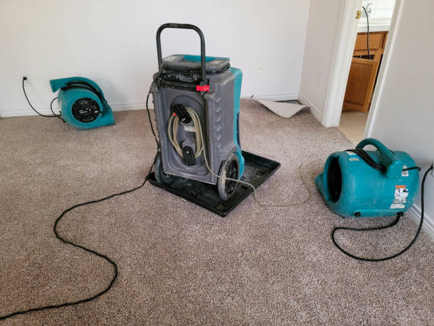 Best Water damage restoration near me  in Tehachapi, CA