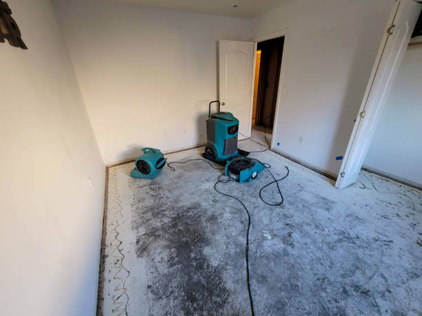 Best Fire Damage Restoration  in Tehachapi, CA