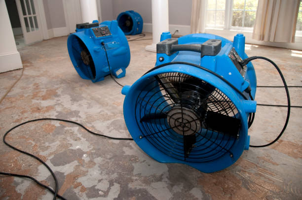 Best Ceiling water damage repair  in Tehachapi, CA