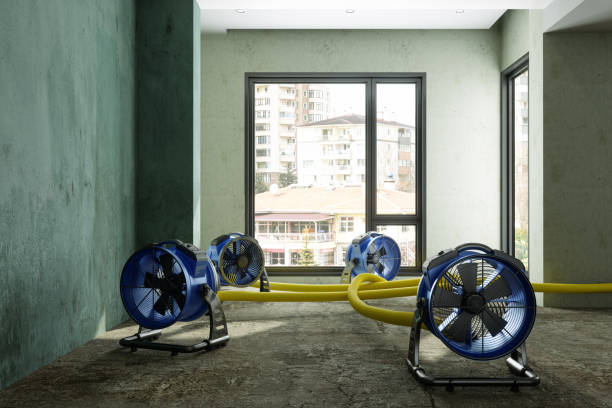 Best Emergency water damage restoration  in Tehachapi, CA